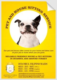 Pet and House Sitting Service Istanbul, Turkey, is